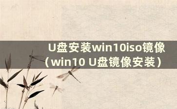 U盘安装win10iso镜像（win10 U盘镜像安装）